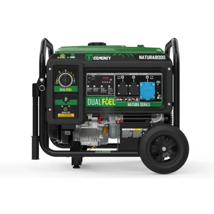 GERADOR DUAL 8500W NATURA 8000 GENERGY