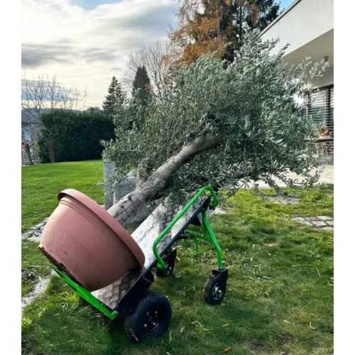 CARRINHO ELÉTRICO ZI ET260 ZIPPER (8)